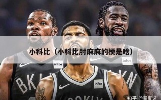 小科比（小科比肘麻麻的梗是啥）
