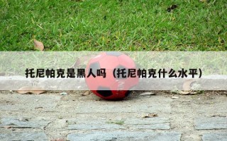 托尼帕克是黑人吗（托尼帕克什么水平）