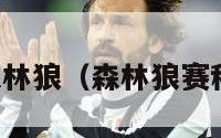 森林狼（森林狼赛程）