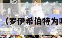 罗伊希伯特（罗伊希伯特为啥叫高圆圆）