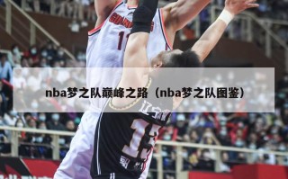 nba梦之队巅峰之路（nba梦之队图鉴）