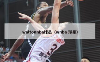 waltonnba球员（wnba 球星）