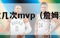 詹姆斯获得过几次mvp（詹姆斯获得过几次奥运会冠军）