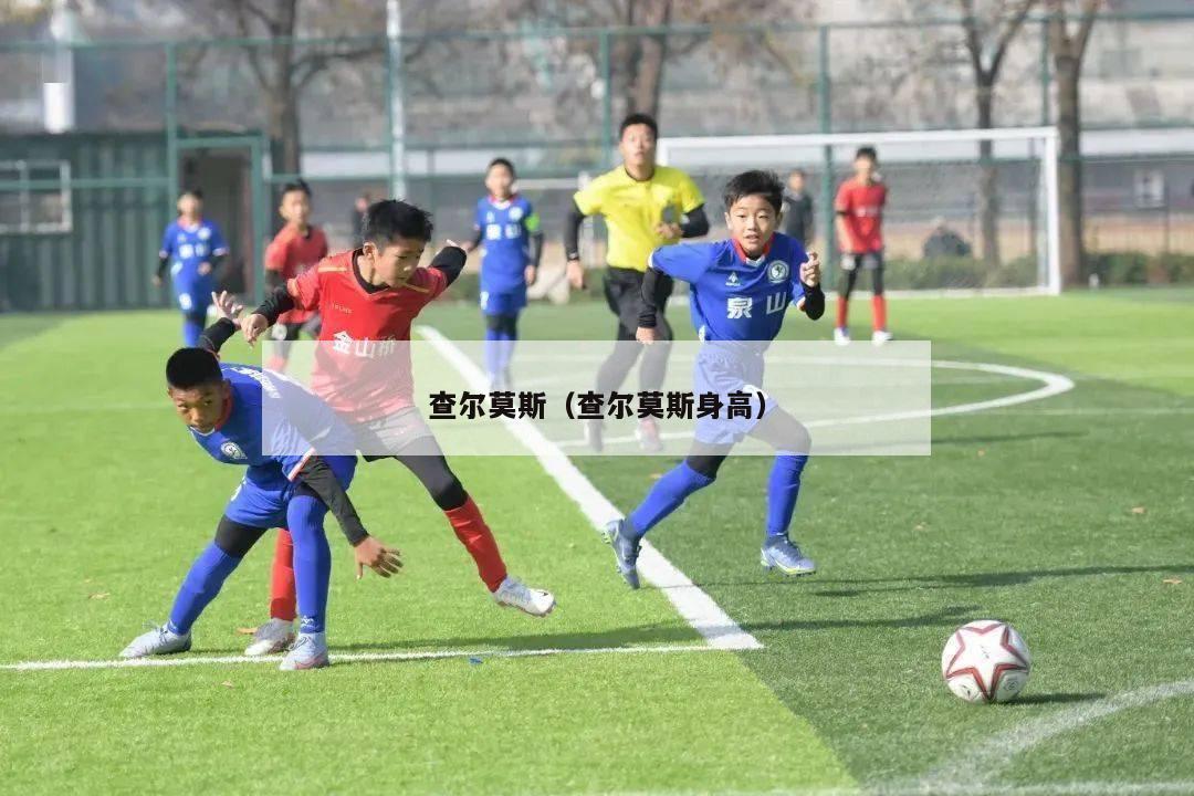 查尔莫斯（查尔莫斯身高）-第1张图片-24直播网