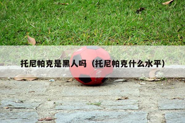 托尼帕克是黑人吗（托尼帕克什么水平）-第1张图片-24直播网