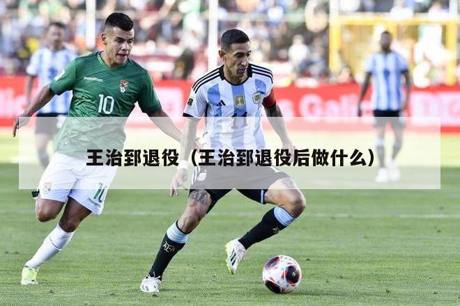 王治郅退役（王治郅退役后做什么）-第1张图片-24直播网