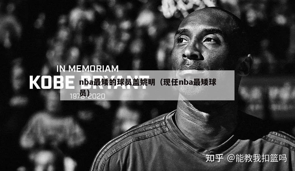 nba最矮的球员盖姚明（现任nba最矮球员）-第1张图片-24直播网