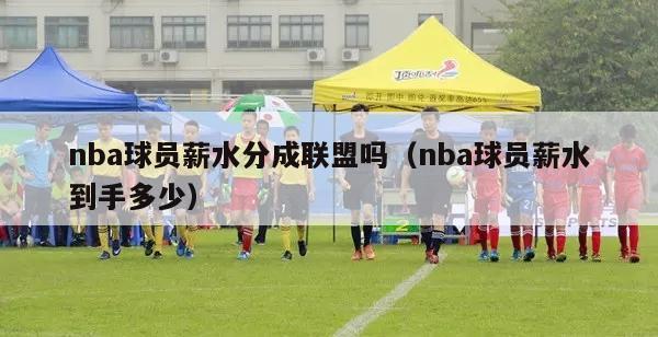 nba球员薪水分成联盟吗（nba球员薪水到手多少）-第1张图片-24直播网