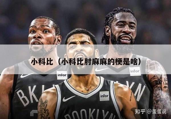 小科比（小科比肘麻麻的梗是啥）-第1张图片-24直播网